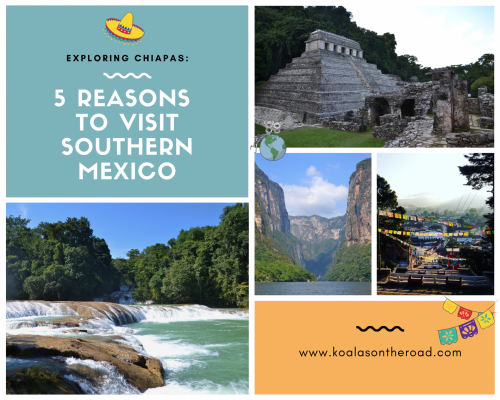 Exploring Chiapas: 5 reasons to visit Southern Mexico koalas on the road