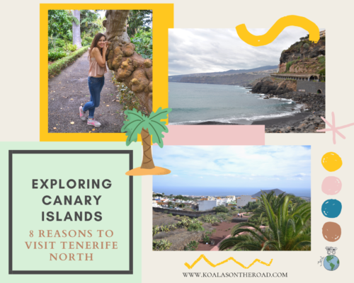 Exploring Canary Islands - 8 reasons to visit Tenerife North