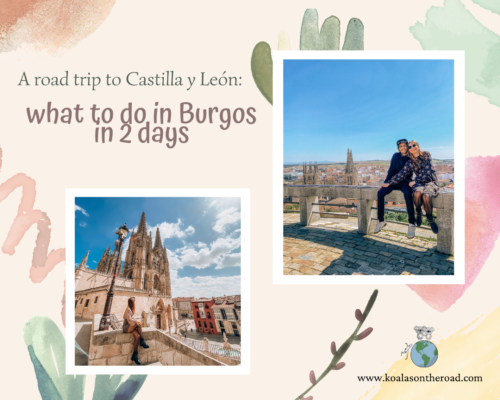 A road trip to Castilla y León - what to do in Burgos in 2 days - koalas on the road