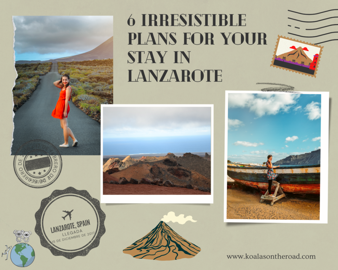6 irresisitble plus for your stay in Lanzarote - koalas on the road